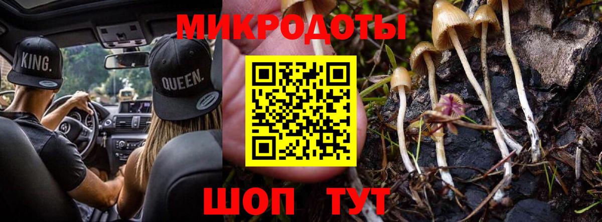 Псилоцибиновые грибы Psilocybe Артём