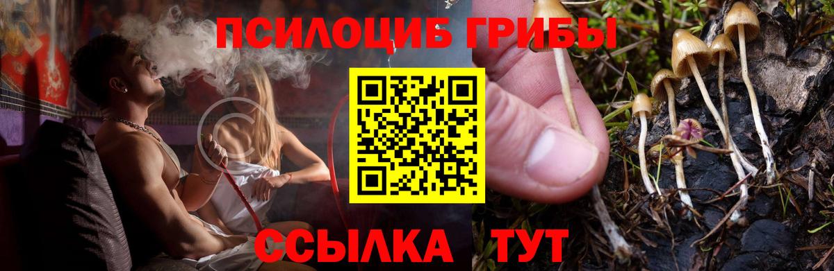 Артём  Галлюциногенные грибы Magic Shrooms  Вход с VPN  Галлюциногенные грибы GOLDEN TEACHER 